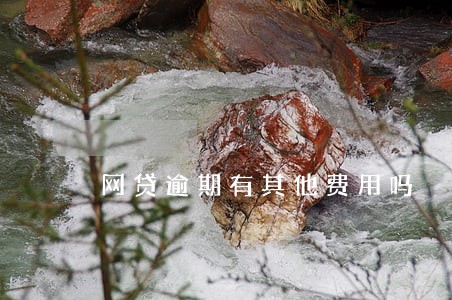 网贷逾期有其他费用吗 网贷逾期有其他费用吗