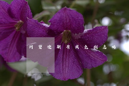 网贷逾期有减免利息吗 网贷逾期有减免利息吗