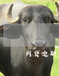 网贷逾期有几天宽限日