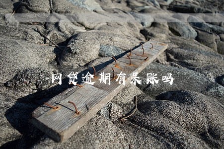 网贷逾期有呆账吗 网贷逾期有呆账吗