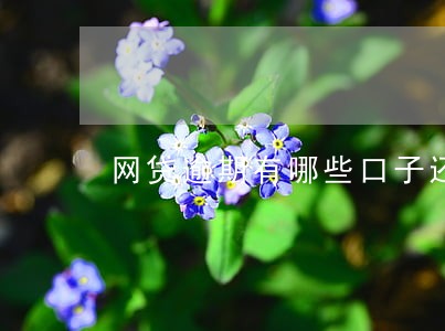网贷逾期有哪些口子还能下款 网贷逾期有哪些口子还能下款