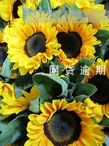 网贷逾期有哪些症状 网贷逾期有哪些症状