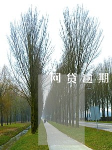 网贷逾期有啥后果啊 网贷逾期有啥后果啊