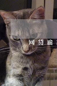 网贷逾期有害吗 网贷逾期有害吗