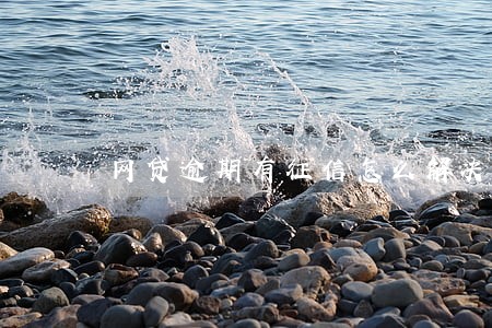 网贷逾期有征信怎么解决 网贷逾期有征信怎么解决