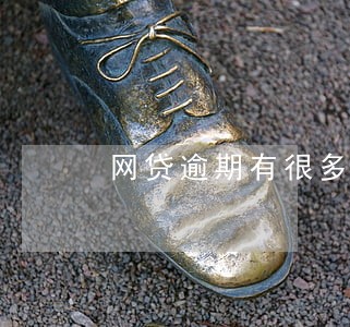 网贷逾期有很多验证码短信 网贷逾期有很多验证码短信