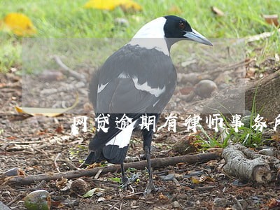 网贷逾期有律师事务所的电话 网贷逾期有律师事务所的电话