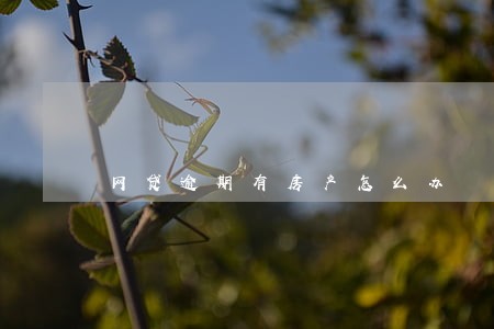 网贷逾期有房产怎么办 网贷逾期有房产怎么办