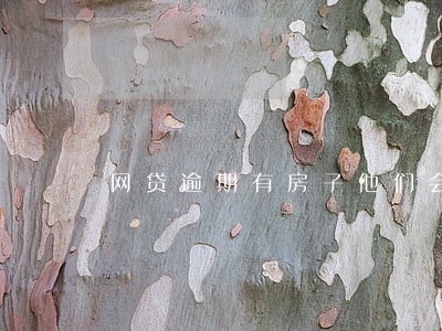 网贷逾期有房子他们会要房子吗 网贷逾期有房子他们会要房子吗