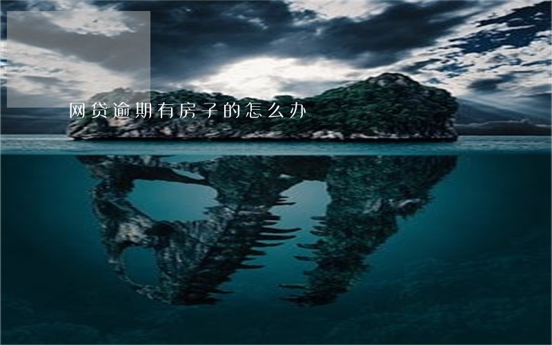 网贷逾期有房子的怎么办 网贷逾期有房子的怎么办