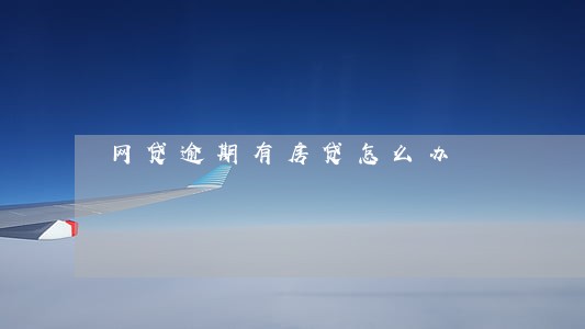 网贷逾期有房贷怎么办