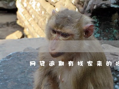 网贷逾期有找家来的吗 网贷逾期有找家来的吗