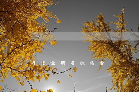 网贷逾期有担保费 网贷逾期有担保费