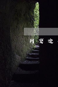 网贷逾期有收入但是不够还 网贷逾期有收入但是不够还