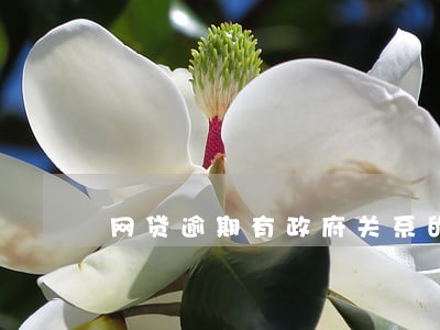 网贷逾期有政府关系的都提前 网贷逾期有政府关系的都提前