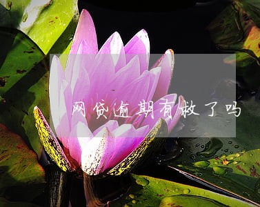 网贷逾期有救了吗