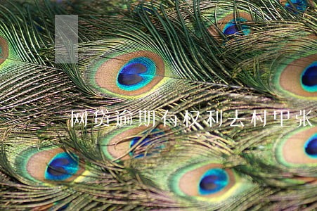 网贷逾期有权利去村里张贴布告么 网贷逾期有权利去村里张贴布告么
