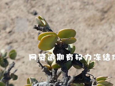 网贷逾期有权力冻结储蓄卡吗 网贷逾期有权力冻结储蓄卡吗