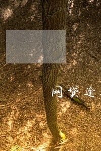 网贷逾期有权封银行卡吗 网贷逾期有权封银行卡吗