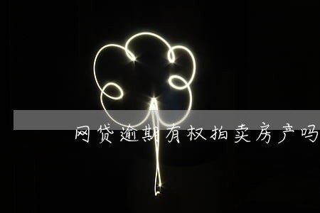 网贷逾期有权拍卖房产吗 网贷逾期有权拍卖房产吗