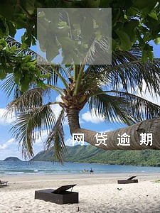网贷逾期有案件号了会怎么样 网贷逾期有案件号了会怎么样