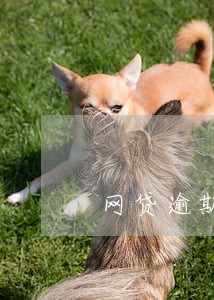网贷逾期有民事责任吗 网贷逾期有民事责任吗