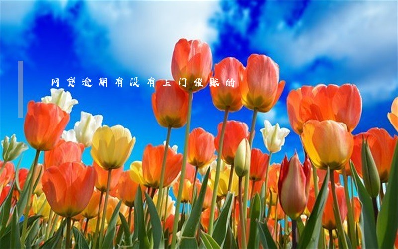 网贷逾期有没有上门催账的 网贷逾期有没有上门催账的