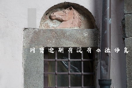 网贷逾期有没有办法修复 网贷逾期有没有办法修复