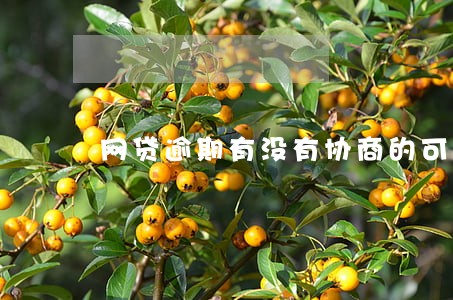 网贷逾期有没有协商的可能