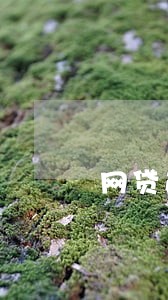 网贷逾期有没有必要离婚 网贷逾期有没有必要离婚
