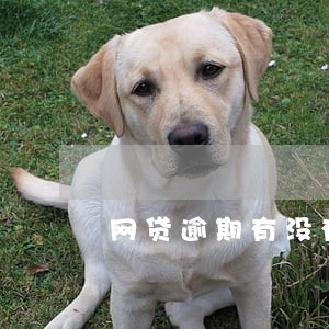 网贷逾期有没有方法上岸 网贷逾期有没有方法上岸