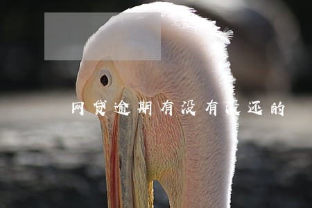 网贷逾期有没有没还的