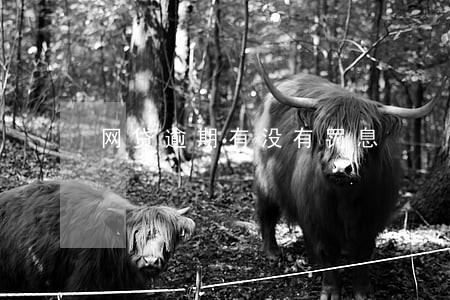 网贷逾期有没有罚息 网贷逾期有没有罚息