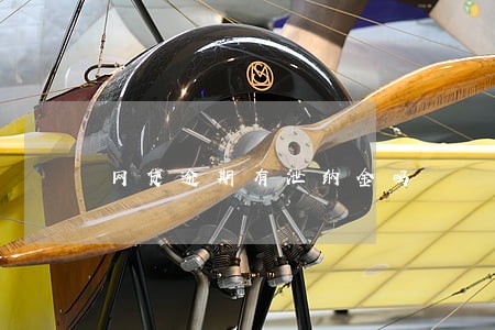 网贷逾期有泄纳金吗 网贷逾期有泄纳金吗