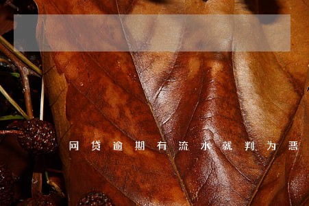网贷逾期有流水就判为恶意骗贷吗 网贷逾期有流水就判为恶意骗贷吗