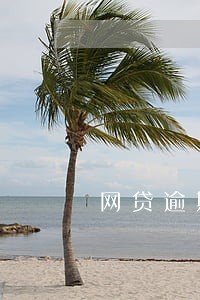 网贷逾期有电话如何投诉 网贷逾期有电话如何投诉