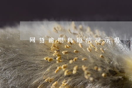 网贷逾期有短信提示吗 网贷逾期有短信提示吗