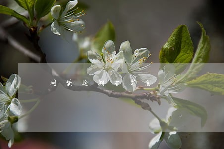 网贷逾期有罚息 网贷逾期有罚息