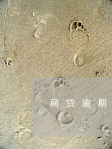 网贷逾期有罚金 网贷逾期有罚金