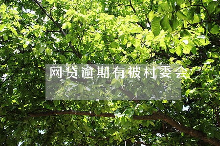 网贷逾期有被村委会 网贷逾期有被村委会