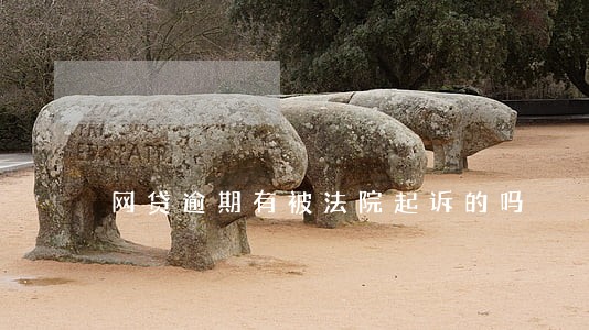 网贷逾期有被法院起诉的吗 网贷逾期有被法院起诉的吗