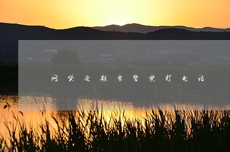 网贷逾期有警察打电话 网贷逾期有警察打电话