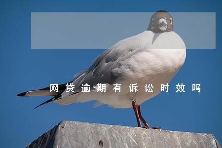 网贷逾期有诉讼时效吗 网贷逾期有诉讼时效吗