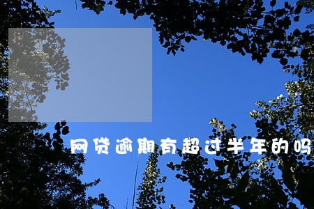 网贷逾期有超过半年的吗 网贷逾期有超过半年的吗