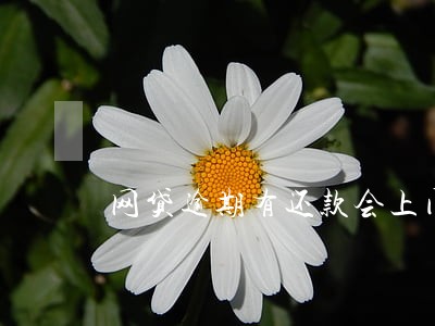 网贷逾期有还款会上门不 网贷逾期有还款会上门不