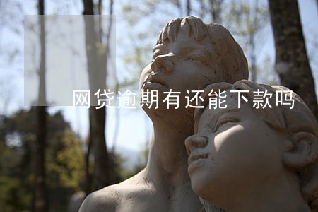 网贷逾期有还能下款吗 网贷逾期有还能下款吗