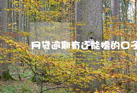 网贷逾期有还能撸的口子么 网贷逾期有还能撸的口子么