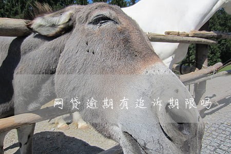 网贷逾期有追诉期限吗 网贷逾期有追诉期限吗