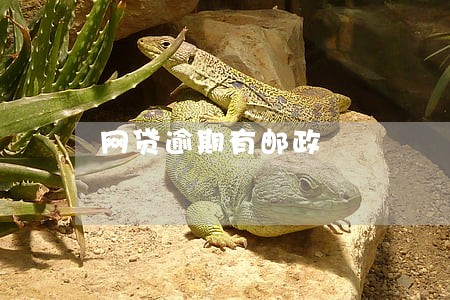 网贷逾期有邮政 网贷逾期有邮政