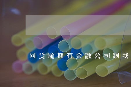 网贷逾期有金融公司跟我赚钱 网贷逾期有金融公司跟我赚钱